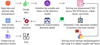 Thumbnail: Fig. 3 Refer to the following caption and surrounding text.