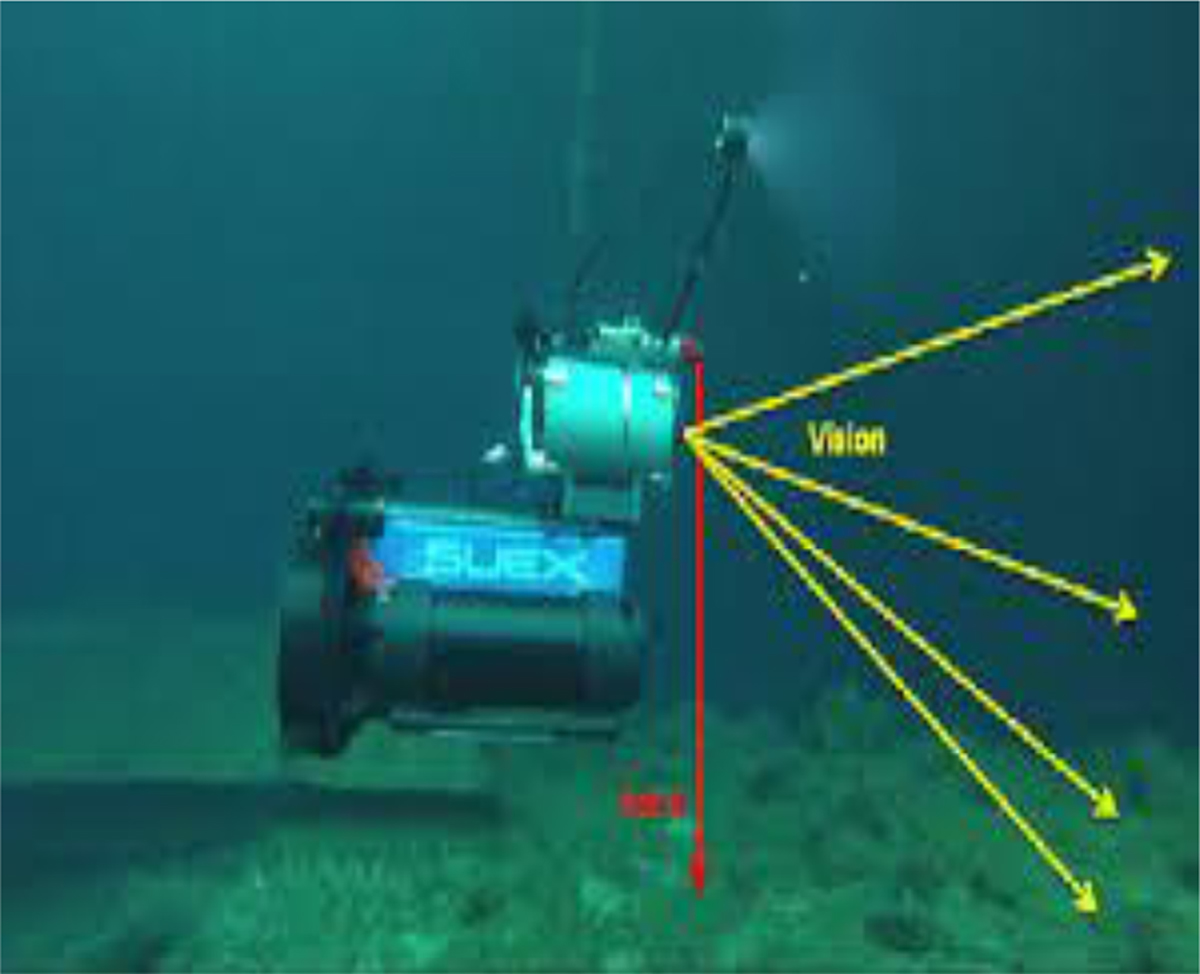 Fig. 2 Refer to the following caption and surrounding text.