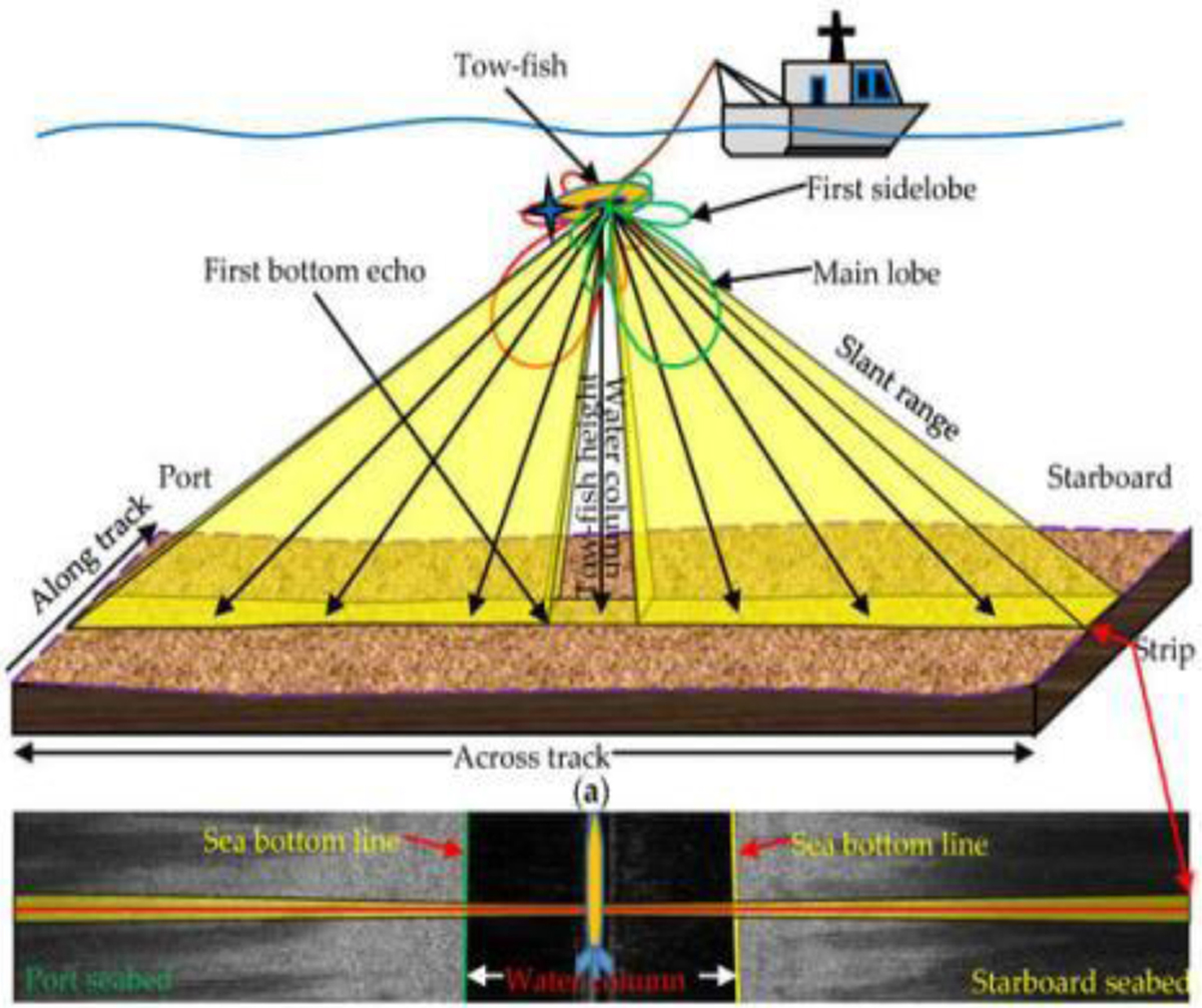 Fig. 8 Refer to the following caption and surrounding text.